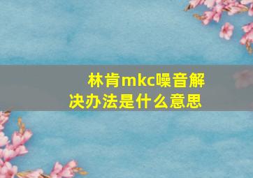 林肯mkc噪音解决办法是什么意思