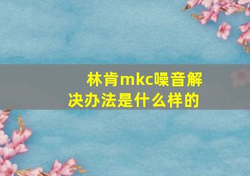 林肯mkc噪音解决办法是什么样的