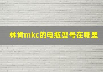 林肯mkc的电瓶型号在哪里