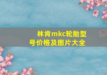 林肯mkc轮胎型号价格及图片大全