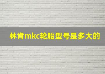 林肯mkc轮胎型号是多大的