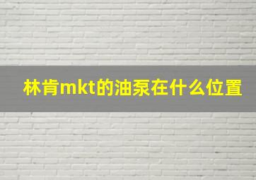 林肯mkt的油泵在什么位置