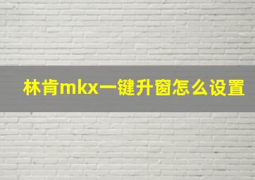 林肯mkx一键升窗怎么设置