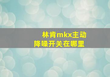 林肯mkx主动降噪开关在哪里