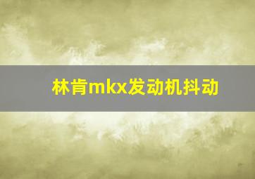 林肯mkx发动机抖动