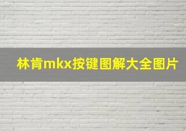 林肯mkx按键图解大全图片