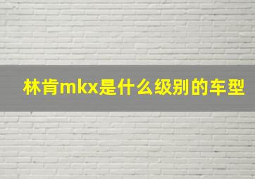 林肯mkx是什么级别的车型