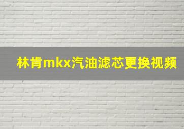 林肯mkx汽油滤芯更换视频