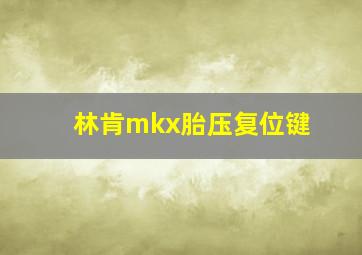 林肯mkx胎压复位键