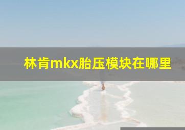 林肯mkx胎压模块在哪里