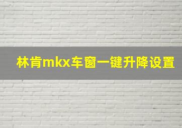 林肯mkx车窗一键升降设置