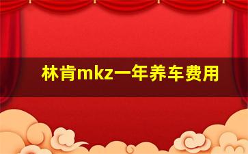 林肯mkz一年养车费用