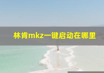 林肯mkz一键启动在哪里