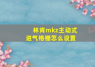 林肯mkz主动式进气格栅怎么设置