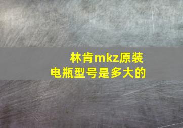 林肯mkz原装电瓶型号是多大的