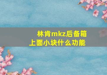 林肯mkz后备箱上面小块什么功能