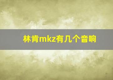 林肯mkz有几个音响