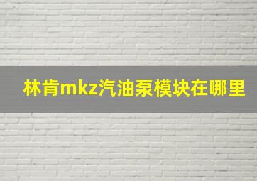 林肯mkz汽油泵模块在哪里