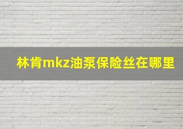 林肯mkz油泵保险丝在哪里