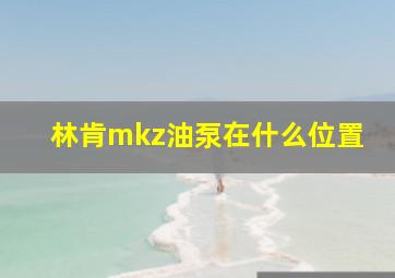 林肯mkz油泵在什么位置