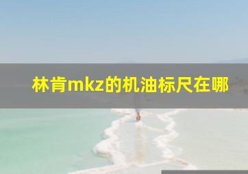 林肯mkz的机油标尺在哪