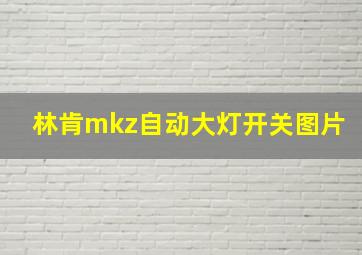 林肯mkz自动大灯开关图片