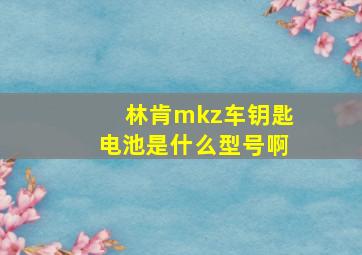 林肯mkz车钥匙电池是什么型号啊