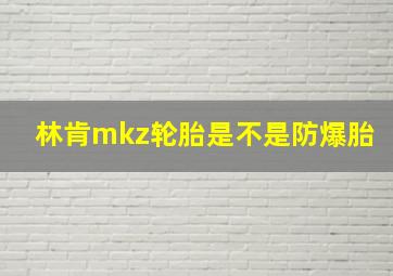 林肯mkz轮胎是不是防爆胎