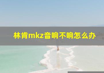 林肯mkz音响不响怎么办