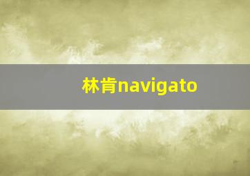 林肯navigato