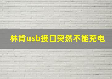 林肯usb接口突然不能充电