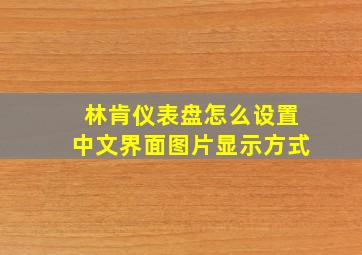 林肯仪表盘怎么设置中文界面图片显示方式