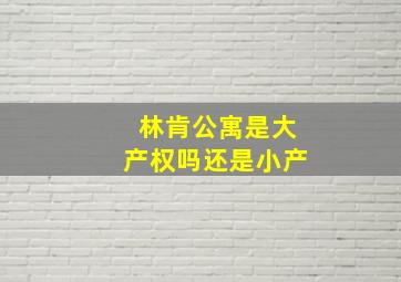 林肯公寓是大产权吗还是小产