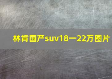 林肯国产suv18一22万图片