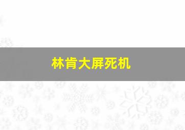 林肯大屏死机