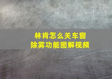 林肯怎么关车窗除雾功能图解视频