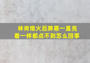 林肯熄火后屏幕一直亮着一样都点不到怎么回事