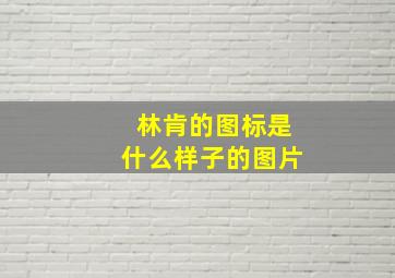 林肯的图标是什么样子的图片