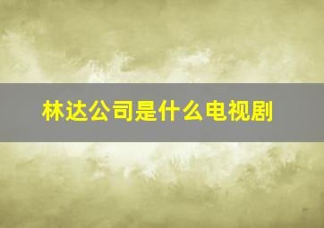 林达公司是什么电视剧