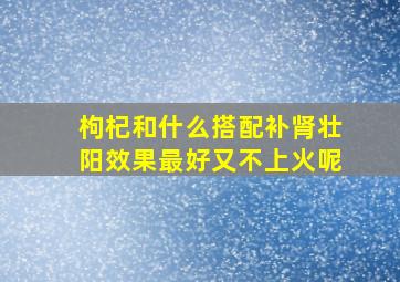 枸杞和什么搭配补肾壮阳效果最好又不上火呢