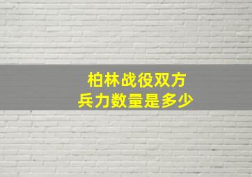 柏林战役双方兵力数量是多少