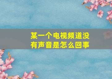 某一个电视频道没有声音是怎么回事