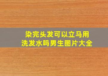 染完头发可以立马用洗发水吗男生图片大全