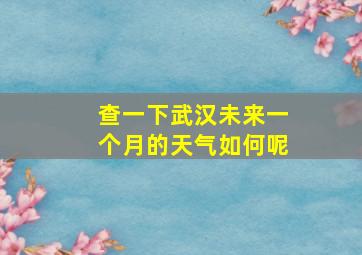 查一下武汉未来一个月的天气如何呢