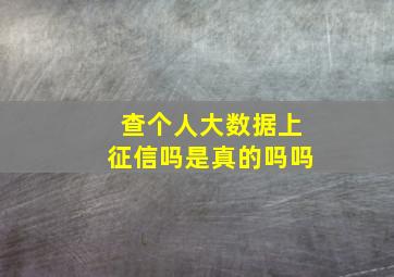 查个人大数据上征信吗是真的吗吗