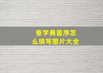 查字典音序怎么填写图片大全