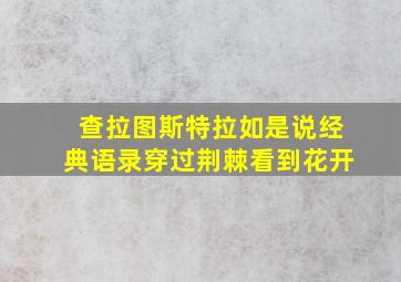 查拉图斯特拉如是说经典语录穿过荆棘看到花开