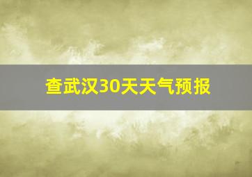 查武汉30天天气预报