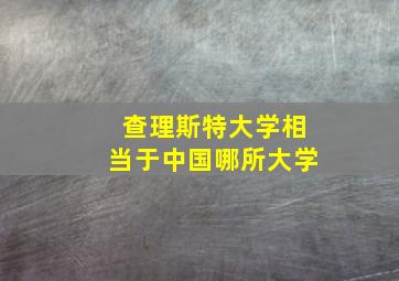 查理斯特大学相当于中国哪所大学