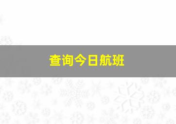 查询今日航班